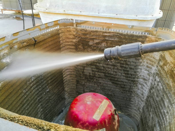 Best Air Vent Cleaning Services  in Roanoke, IL