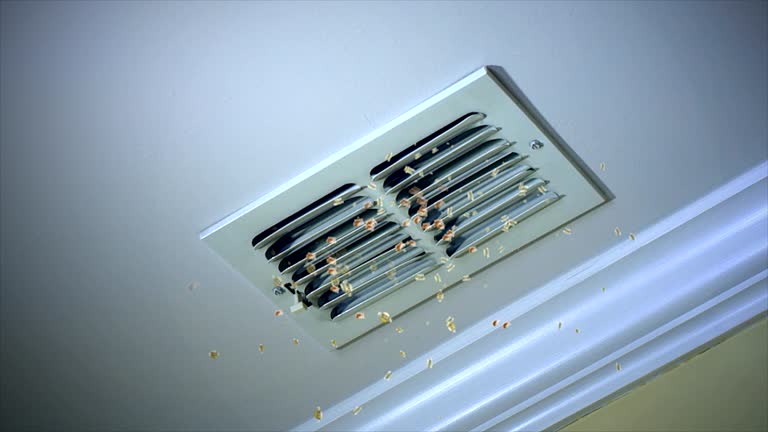 Best Duct Cleaning for Offices  in Roanoke, IL
