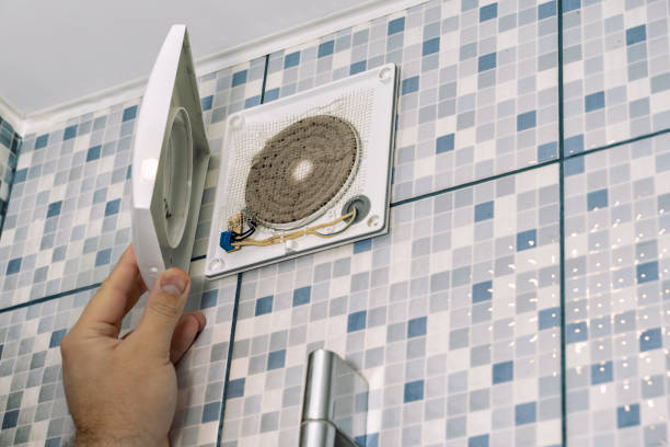 Best HVAC Air Duct Cleaning  in Roanoke, IL