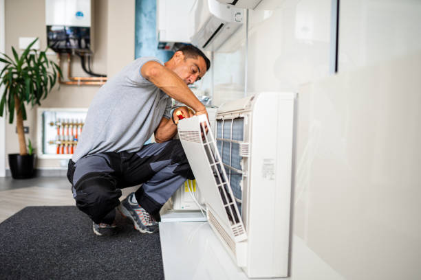 Best Commercial Air Duct Cleaning  in Roanoke, IL