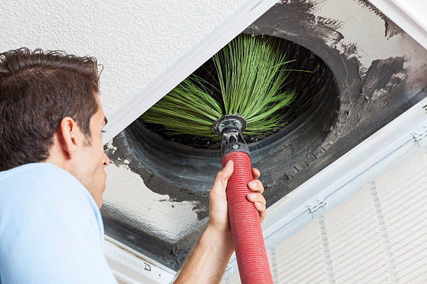 Best Local Air Duct Cleaning Services  in Roanoke, IL
